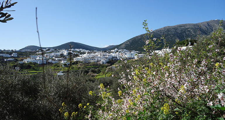 The village of Exabela in Sifnos