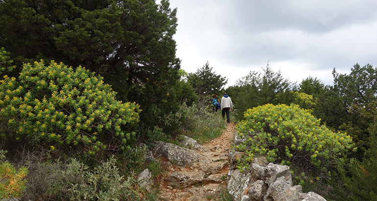 A trail in Sifnos